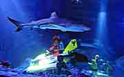 Attraktion 2009: Legoland Atlantis by SEA LIFE (Foto: Legoland)